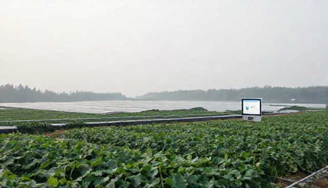 流程优化中运维问题的选型与处理建议